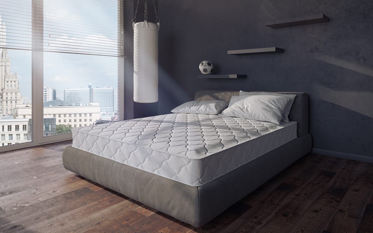 Evita Regular Dream фото 5